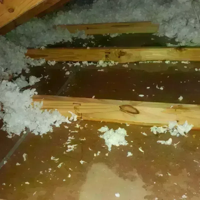 Attic Water Damage in Dawson County, MT